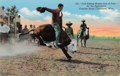 1942 PC: Calf Riding - Cheyenne Frontier Days - Wyoming