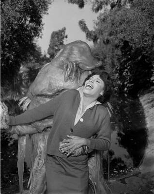 THE OUTER LIMITS Old TV photo The Mice 1964 Hugh Langtry 4 | eBay