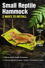 Reptile Hammock Bearded Dragon Lizard Lounger Terrarium Climbing Bed Iguana
