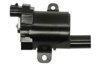 ZüNdspule FüR Chevrolet Hummer Cadillac Isuzu Tahoe Avalanche 1500 Crew Cab