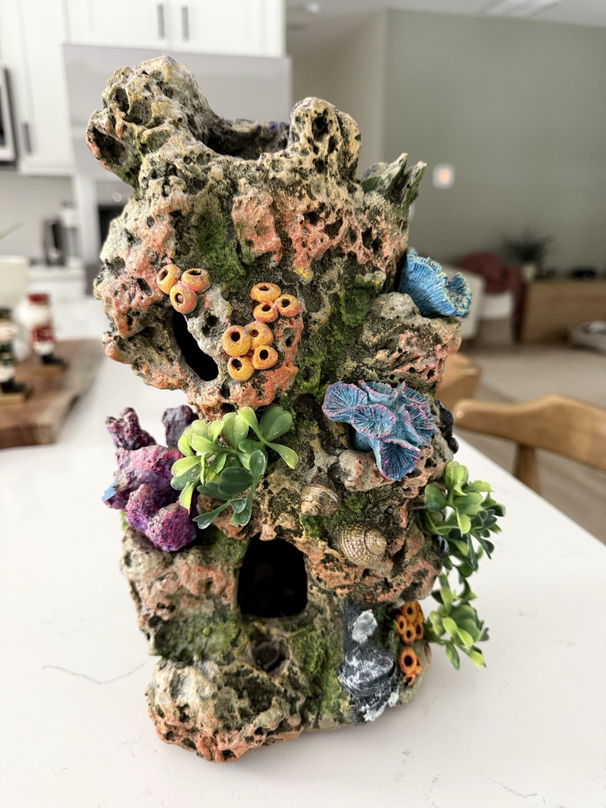 Top Fin Coral & Plant Rocky Aquarium Ornament – Aquarium Decor