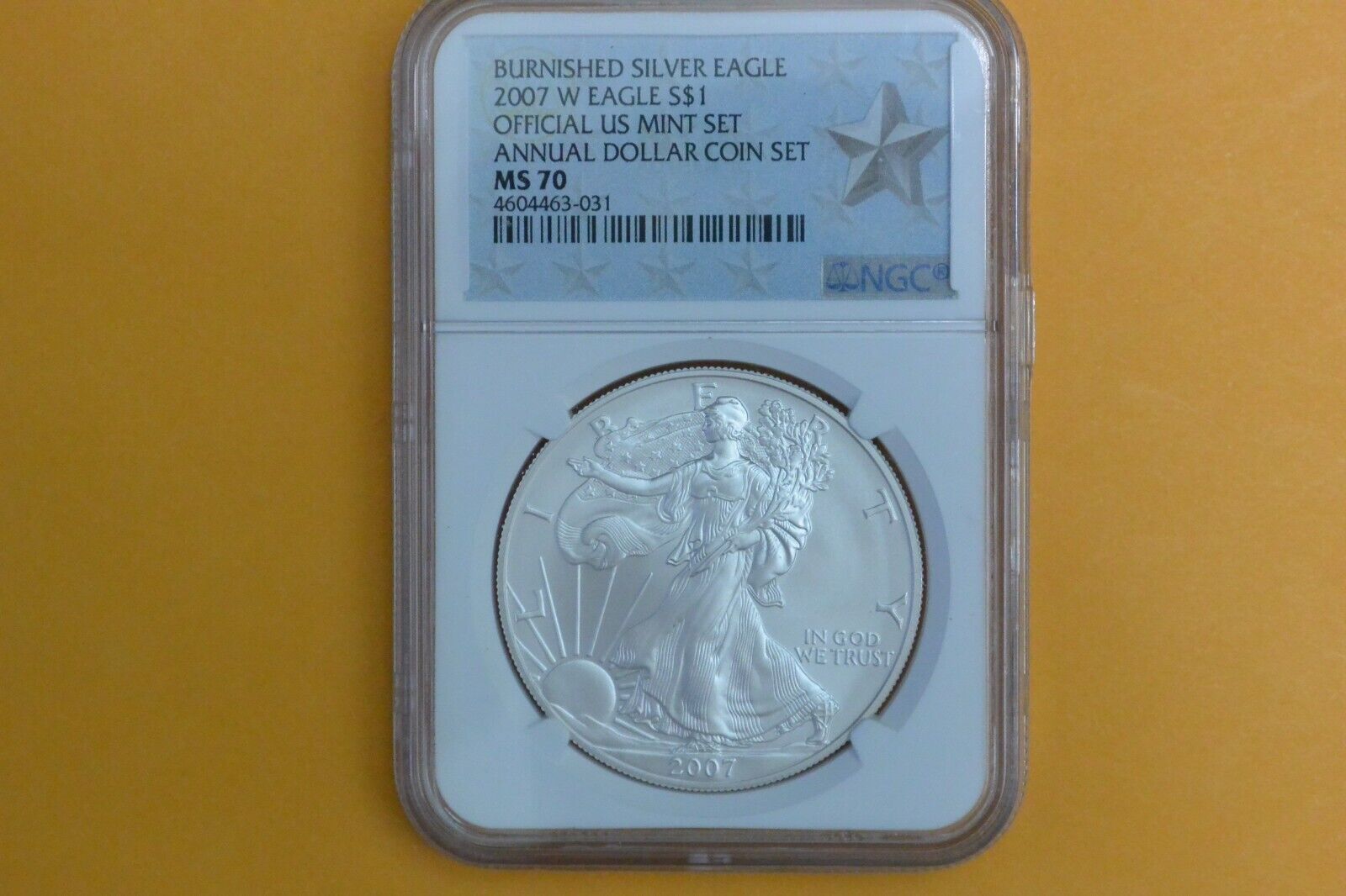 2007 W BURNISHED SILVER EAGLE NGC MS70 ANNUAL DOLLAR  UNC SET LABEL