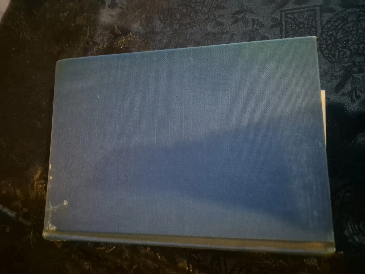 Picture 4 of 8