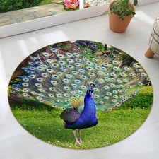 3D Peacock Lawn B153 Animal Non Slip Rug Mat Elegant Photo Carpet Zoe