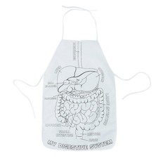Color Your Own Digestive System Canvas Aprons - 12 Pc.