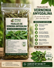 Feuille de vernonia amygdala 100 % Naturelles – Qualité Premium
