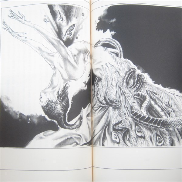 RYOKUSHOKU KENKYU A Study in Green 1 Novel AZUSA NOA Ayami Kojima Japan