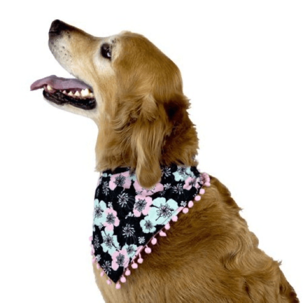 Vibrant Life Floral Pom Pom Dog Bandana