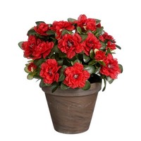 Mica Decorations Azalee Kunstpflanze Im Blumentopf Stan - H31 X Ø26 Cm - Rot