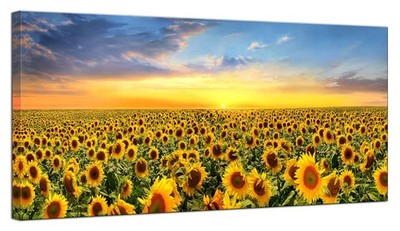 Large Sunflower Field Wall Decor Flower Wall Art Sunset Pictures For Living R...