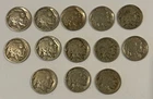 13 Partial Date  Buffalo Nickel Collection Lot 101