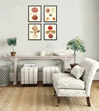 Vintage Red Seashells Prints Wall Art Set of 4 Prints Beautiful Unframed
