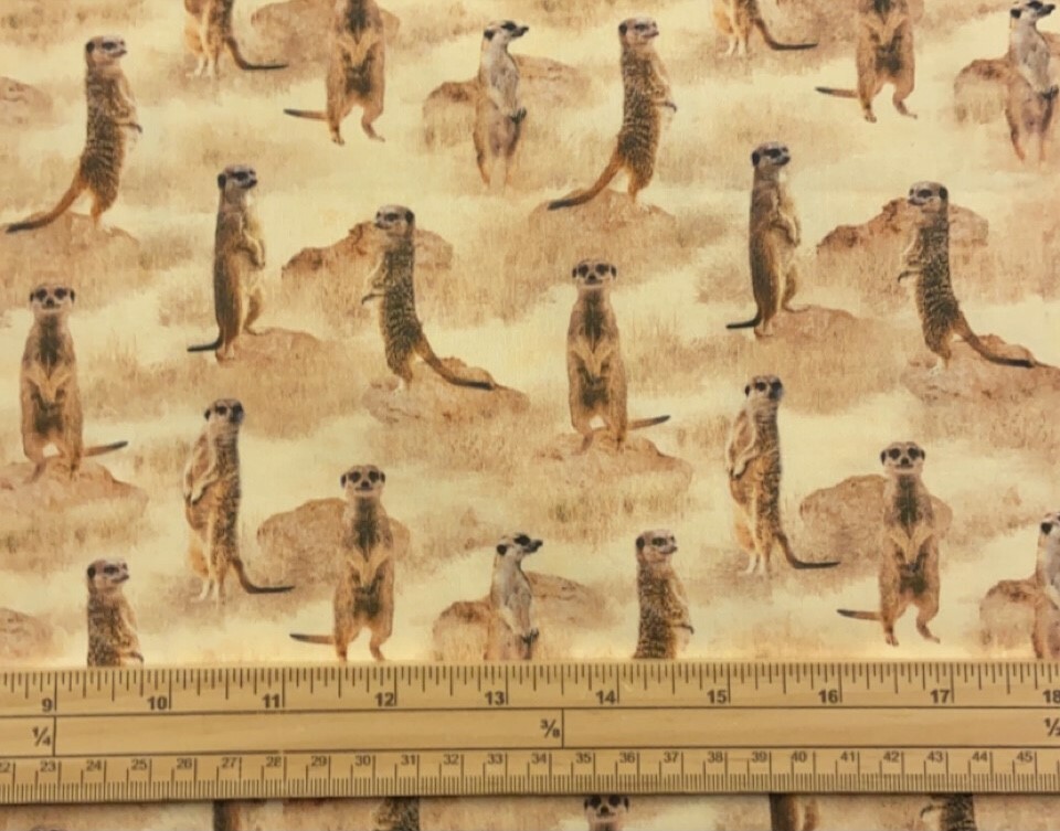 Fat Quarter African Safari Meerkats In The Wild Allover 100% Cotton Quilting Fab