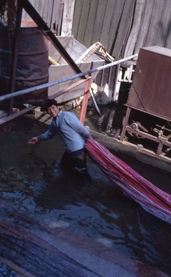 SL36 Slide 1960's Seoul  Man Textile Dyeing Silk  Worker 750a