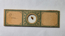 Antique Microscope Slide (Unidentified Insect)