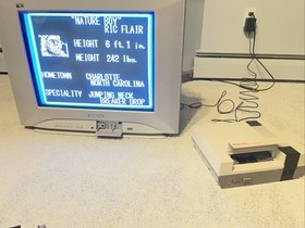 WCW World Championship Wrestling (Nintendo NES, 1990) Authentic Cartridge Tested