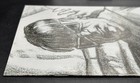 Bild 8 von 8