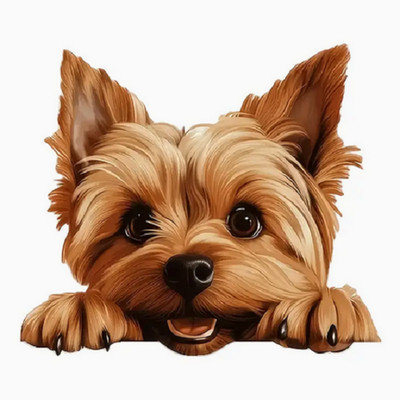 SPECIAL YORKIE DOG ART Pendant on 925 Silver Plated 20'' 22'' Necklace GIFT BOXED