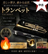 Golden trumpet with hard case Used storage item
