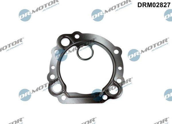 Dr.Motor Automotive Dichtung, Agr-Ventil DRM02827 FüR Ford-image