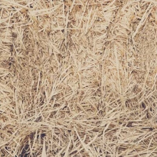 Straw background, farm scrapbook paper - Scrapbook Customs 36520