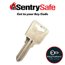Llave de repuesto Sentry Safe de repuesto hecha cortada a código 4A2-4Z2