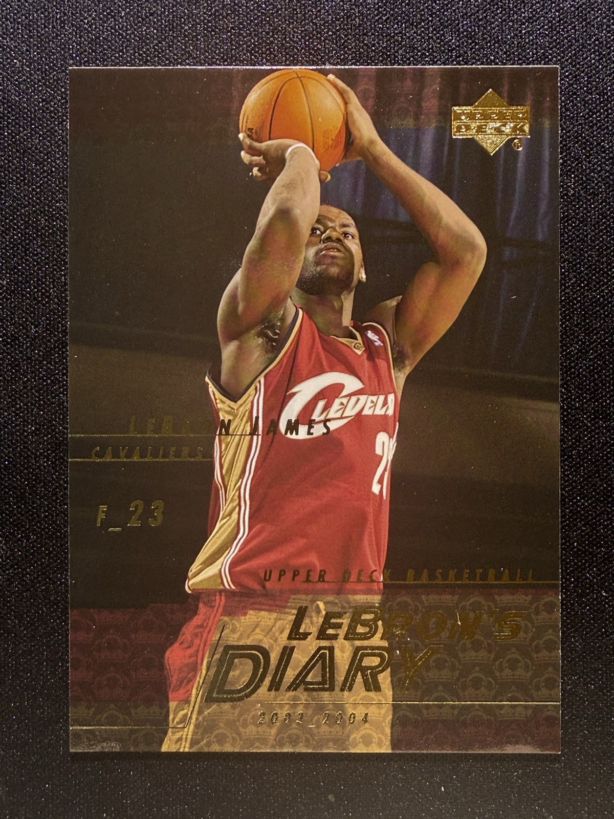 2003-04 Upper Deck LeBron's Diary LeBron James #LJ12 Insert Cavaliers