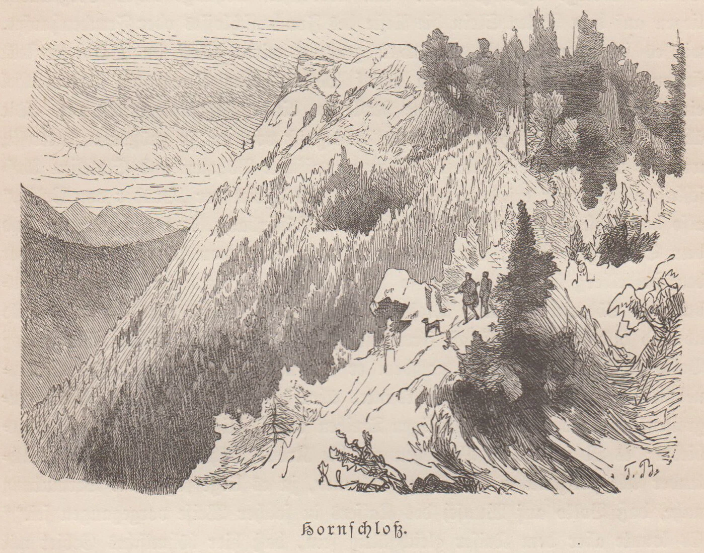 Foto 1 di 1