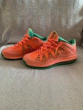 lebron 10 watermelon