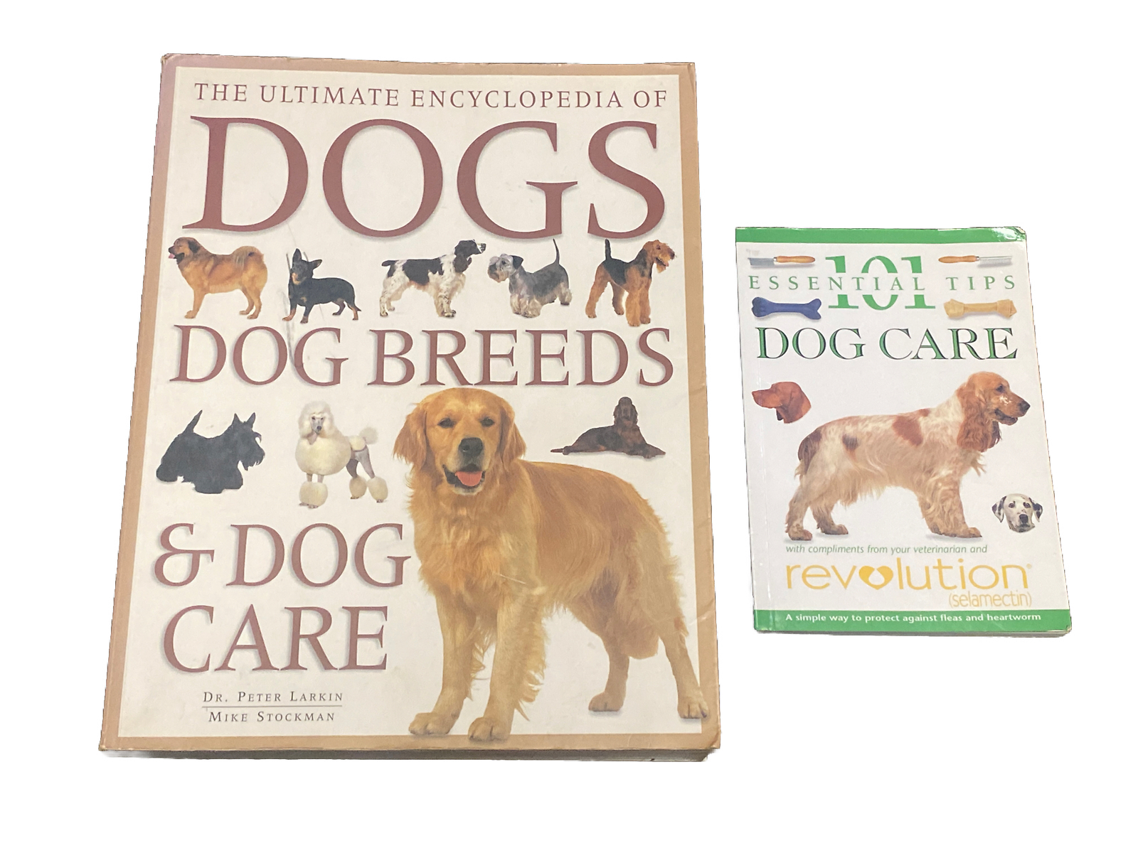 Dogs Của David Alderton: Cuốn Cẩm Nang Chất Lượng Về Các Loài Chó - Foto 5