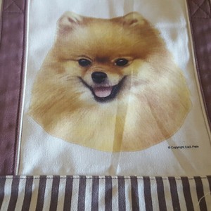 pomeranian in bag