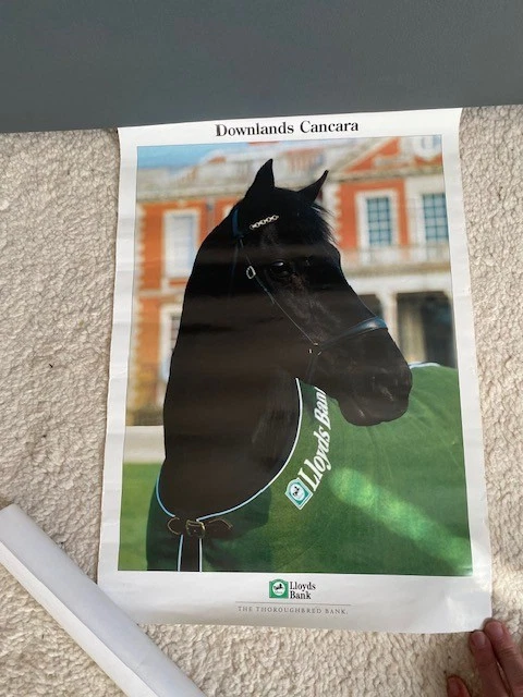 Official poster of Downlands Cancara, The Lloyds bank horse, good condition - Image 1 of 1
