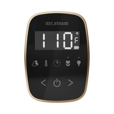 Mr Steam TF Tempoflex Steam Shower Control and Steamhead - Black / Nouveau