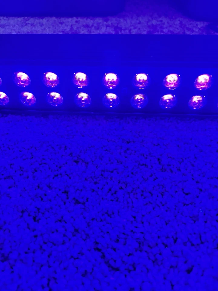 ADJ American DJ UV LED BAR20 Ultraviolet Backlight Lighting Fixture - Image 3 of 4