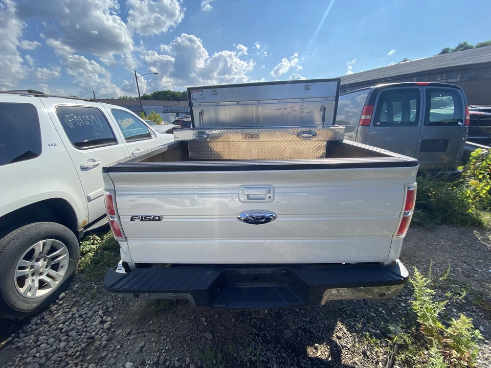 Conjunto de filtro de aire usado se adapta a: camioneta Ford F150 2009 5,4 L 3 V grado A Foto 4 de 4