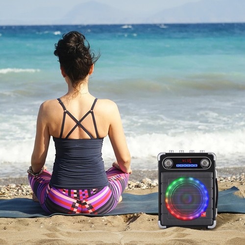 6.5in Portable Bluetooth Speaker Party Karaoke Machine w/ 2 Wireless Mic LED TWS - Picture 21 of 22