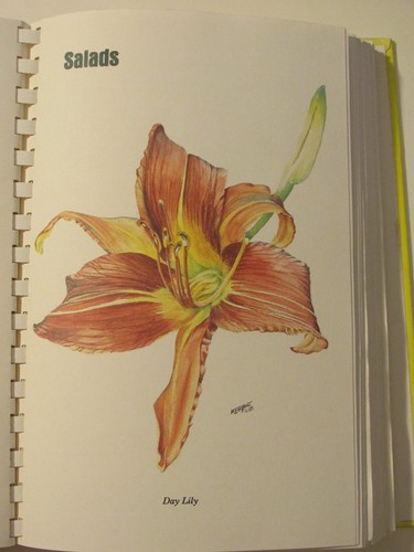 SPIRAL COOKBOOK Florida Federation of Garden Clubs PATHS OF SUNSHINE - 1988 1st - Imagen 11 de 16