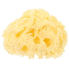 Newborn Bath Sponge Honeycomb Natural Sea Baby Sponges for Bathing