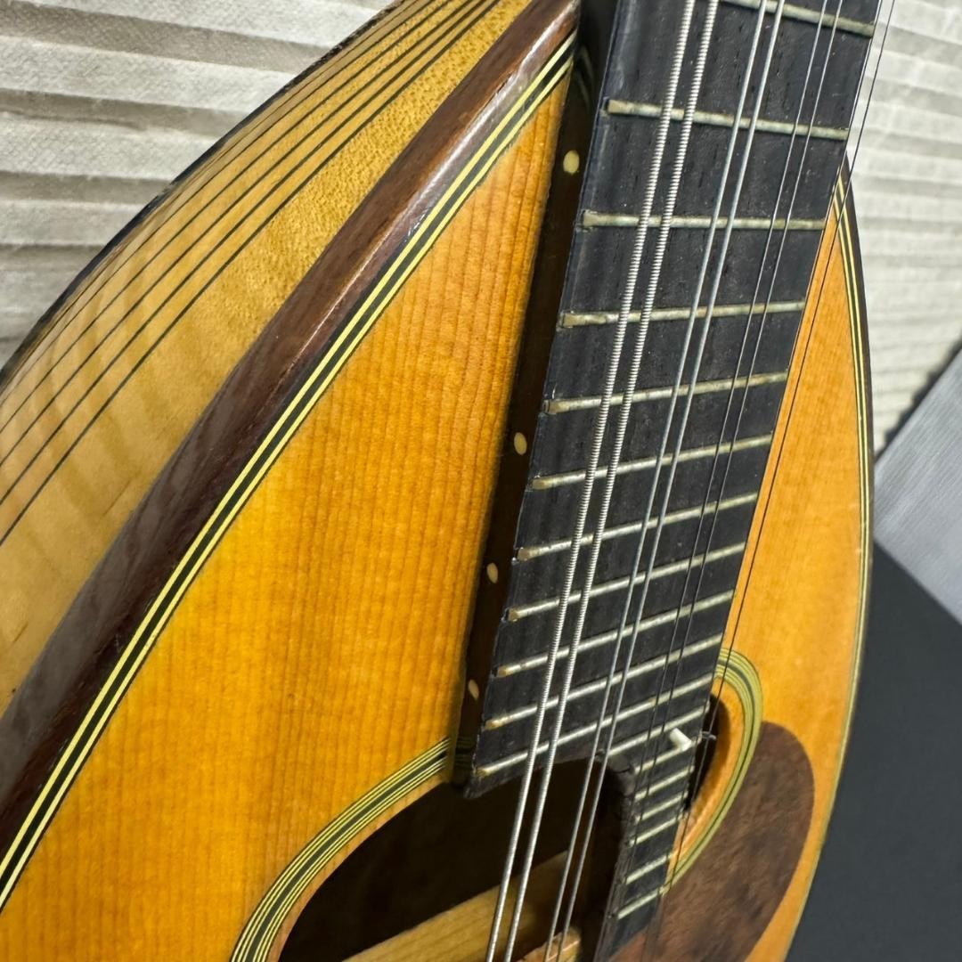 Suzuki Violin Nagoya M-30 Mandolin Stringed Instrument Western | eBay