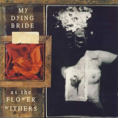 As the Flower Withers VINYL 12'' Album (2013) ***NEW*** FREE Shipping, Save £s