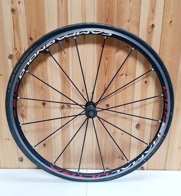 Campagnolo Shamal Ultra Fahrrad Vorderrad