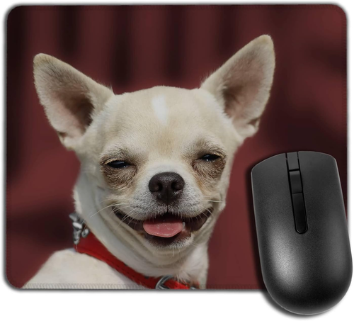 Divertente Cane Memes Tappetino per Mouse Del Mouse Rettangolare Antiscivolo, Te 7445036333372