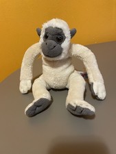 Peluche scimmia bianca