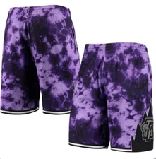 $110 Mitchell & Ness Toronto Raptors Galaxy Swingman Mens Size Large- Purple 99’