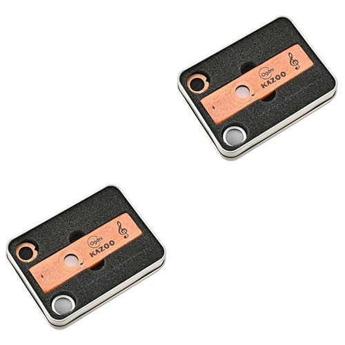 2 PCS Kazoo Professional Easy Learn Musical Instrument Child eBay