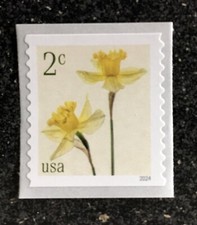 2024USA 5903 2c Daffodils - Coil Single Mint NH  flower