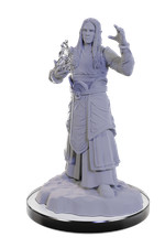 WZK90672 Wizkids Dungeons  Dragons: Miniatures - Elf Wizards