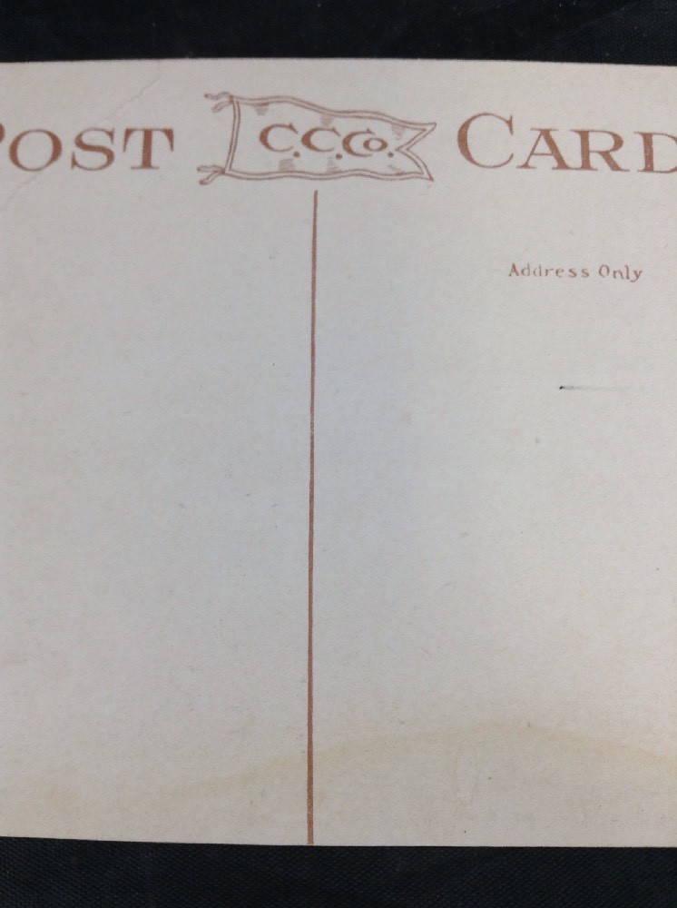 Plott Balsams North Carolina Blue Ridge Mountains Vintage Color Postcard Unpost