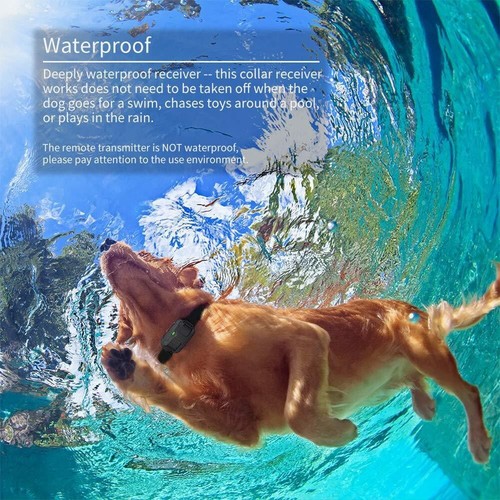 Waterproof Electric Dog Training Collar with Remote Shock Correction for Pets - Picture 8 of 13