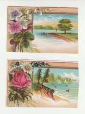 1882 Victorian Trade Card Chicago trimmed and not printed with an ad